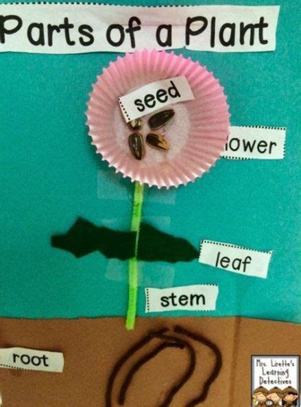 Plants Kindergarten Crafts First Grade 42 Ideas For 2019 Plant