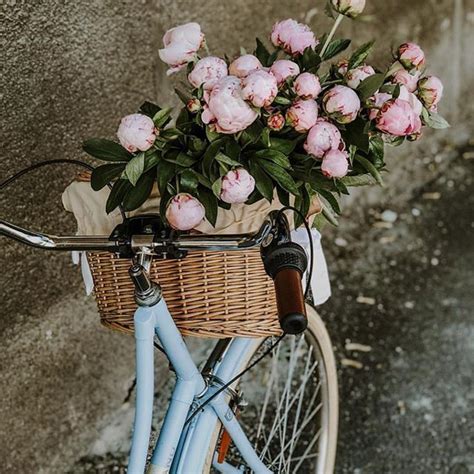 We did not find results for: Pin by A Beautiful Life on Peonies in 2020 | Pretty ...