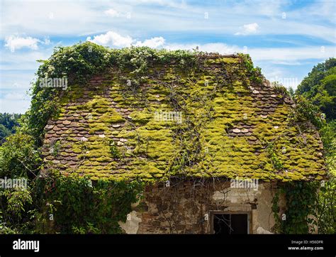 Abandoned Old House Covered With Moss Stock Photo Alamy