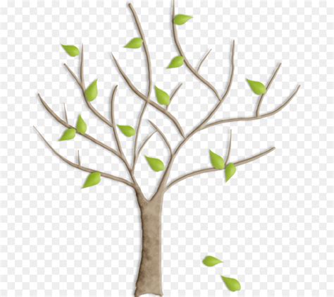 Gambar Batang Pohon Tanpa Daun Kartun Agro Blog
