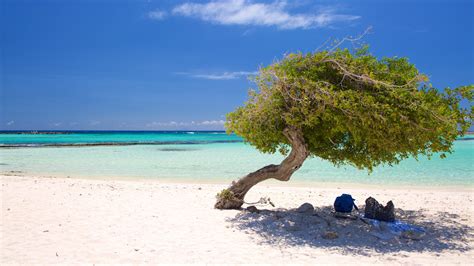 Best Aruba All Inclusive Resorts August 2020 Expedia