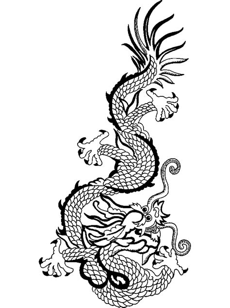 dragon images themes company design concepts  life