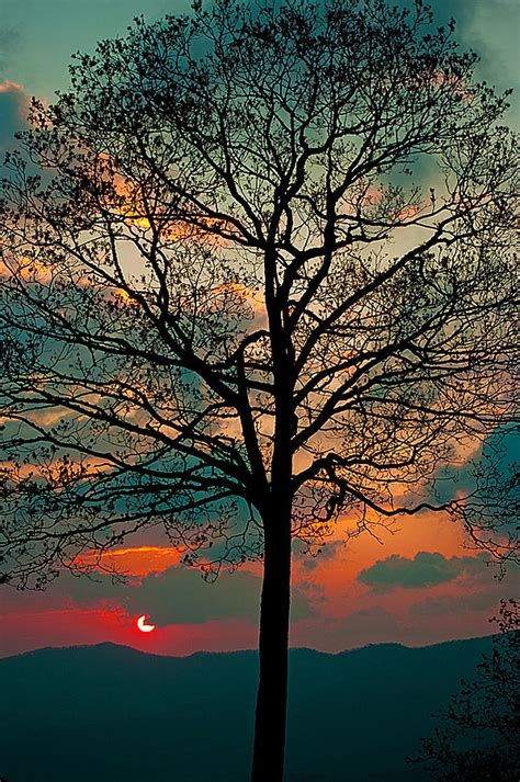 Tree Sunrise Photograph By Itai Minovitz Fine Art America