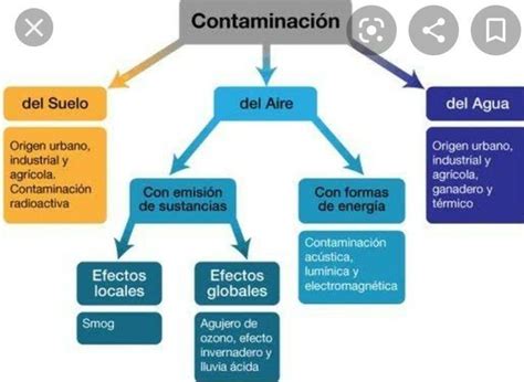 Realiza Un Mapa Conceptual O Mental Sobre Los Tipos De Contaminaci N Y
