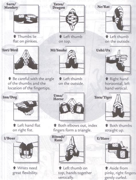 Seals 印 In English Tv Hand Signs Are Used To Perform Many Ninjutsu