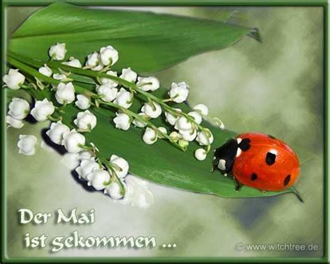 Mai feiertag, grüße zum 1 mai. Grüße, 1 mai bilder lustig, Grüße zum 1 mai