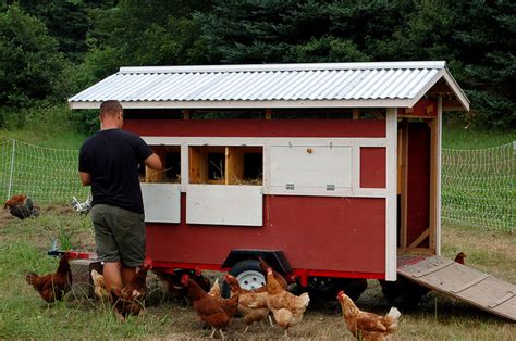 A chicken coop or hen house is a structure where chickens or other fowl are kept safe and secure. What's In A Name? Naming Your Flock and Coop | Community ...