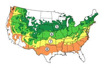We did not find results for: Japanese Zelkova Tree on the Tree Guide at arborday.org