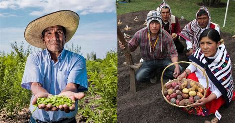 Uma imagem de um homem do campo armado com um rifle acompanha uma mensagem parabenizando os agricultores. Minagri lanza campaña "Cómprale al agricultor peruano ...