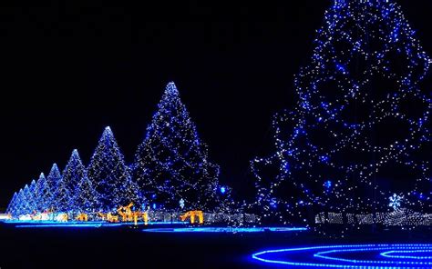 Download Blue Light Night Christmas Lights Christmas Tree Holiday