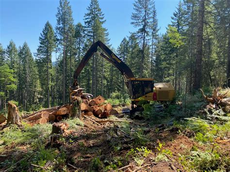 If you can't replant, take some soil off the top. Boulder Creek Timber co. - Posts | Facebook