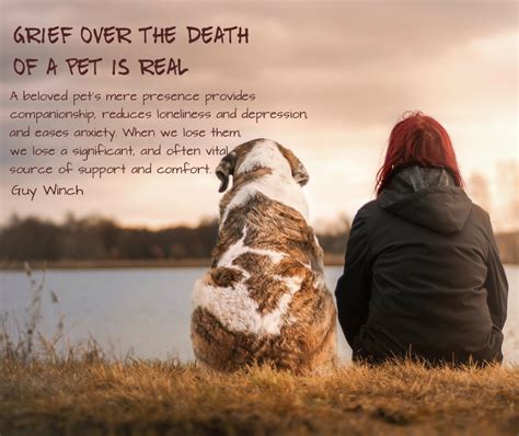Grieving A Pet Conexus Counselling Winnipeg Manitoba