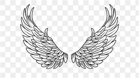 Angel Wings Png Vector Psd And Clipart With Transparent Background
