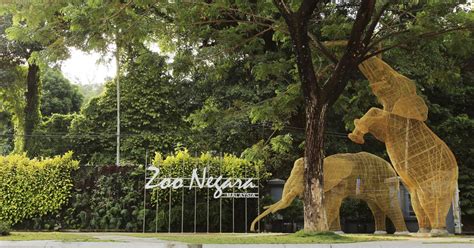 An entrance fee of zoo negara costs rm 44, i.e. Pusat Reptilia Terbesar Dan Tercanggih Dunia Bakal Siap Di ...