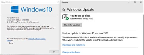 How To Get The Windows 10 May 2019 Update Version 1903 Page 100