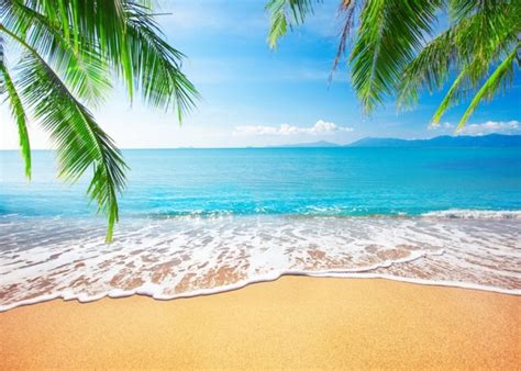 Blue Sky White Clouds Palm Trees Coconut Tree Beach Hawaiian Backdrop