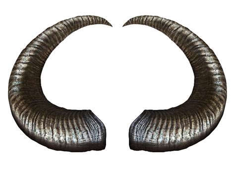 Domestic Horns Png Download Image Png Arts