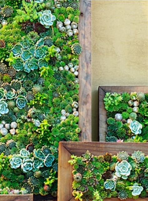 Make Your Own Diy Vertical Succulent Wall Planters Sunset Idées