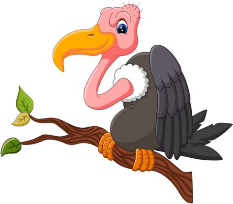 Best Vulture Illustrations Royalty Free Vector Graphics And Clip Art