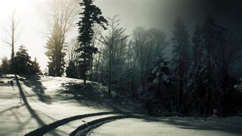 1920x1080 1920x1080 Fog Trees Sun Winter Traces Snow Black And