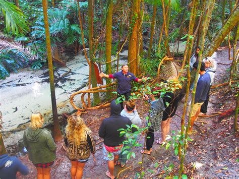 Fraser Island Sightseeing Tour With Lunch Full Day Adrenaline