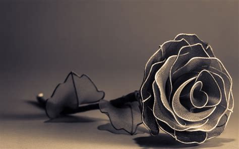 Gothic Black Roses Wallpaper