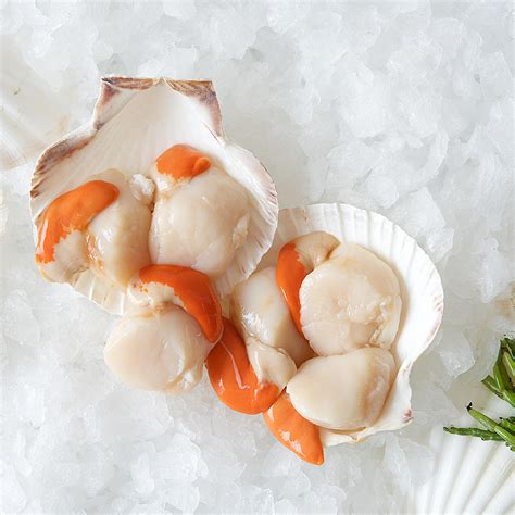 Fresh Scallop Meat Seafood Society