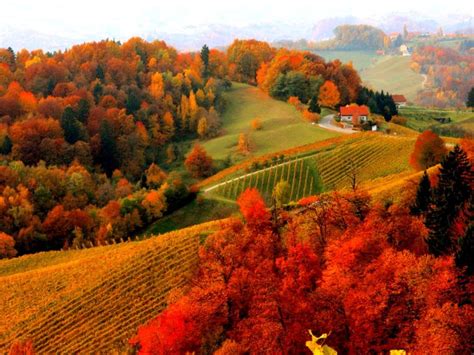 Houses Foliage Fall Autumn Mountain View Lovely Hills Beautiful