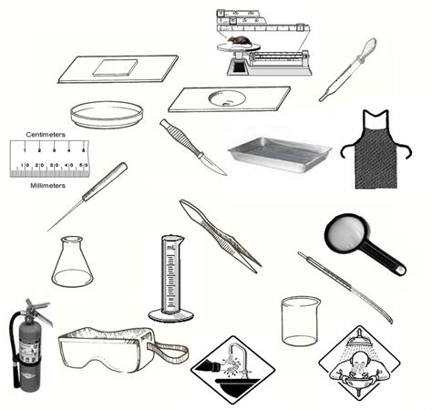 Lab Equipment Part 2 Diagram Quizlet