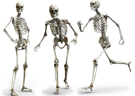 How To Get Strong Bones For Life Peak Sports Physiotherapy
