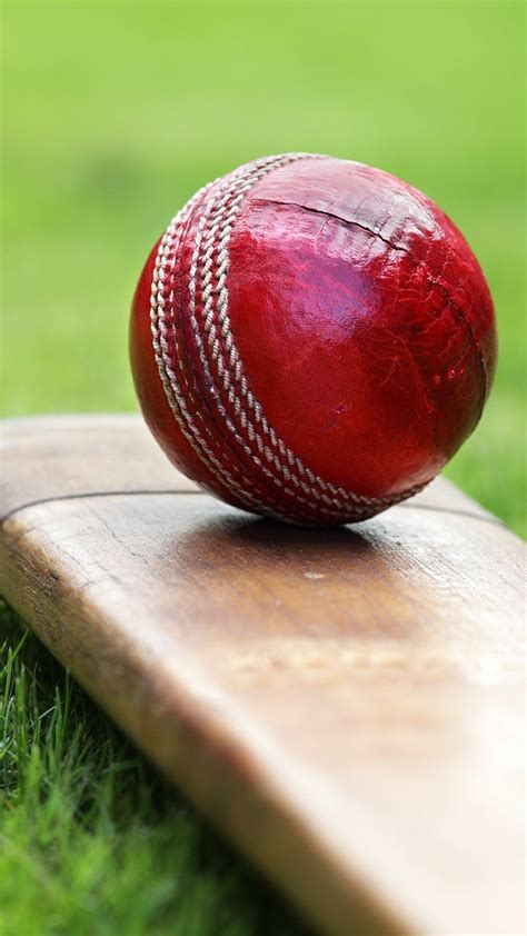 Hd Wallpaper Grayscale Photo Of Cricket Ball And Bat On The Ground