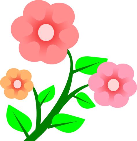 Розовый Цветы Завод · Бесплатная векторная графика на Pixabay