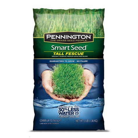Pennington Smart Seed 3 Lb Tall Fescue Grass Seed At
