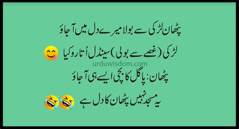 Short Funny Jokes In Urdu