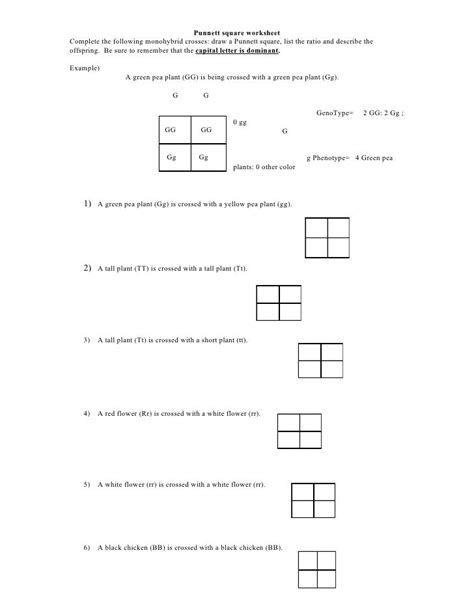 A monohybrid cross is the simplest example of a common tool used in the teaching of basic mendelian genetics called a punnett square. Dihybrid Cross Worksheet Answer Key Peas - worksheet