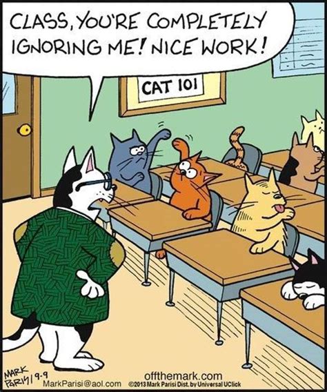 Cat School Funny Cartoon In 2020 Cats Dog Cat Cat Comics