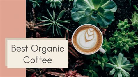Profitez de millions d'applications android récentes, de jeux, de titres musicaux, de films, de séries, de livres, de magazines, et plus encore. Best Organic Coffee - Coffee Wanderment