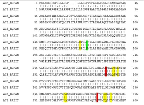 Emboss Needle Multiple Sequence Alignment Results Colour Coding Is As