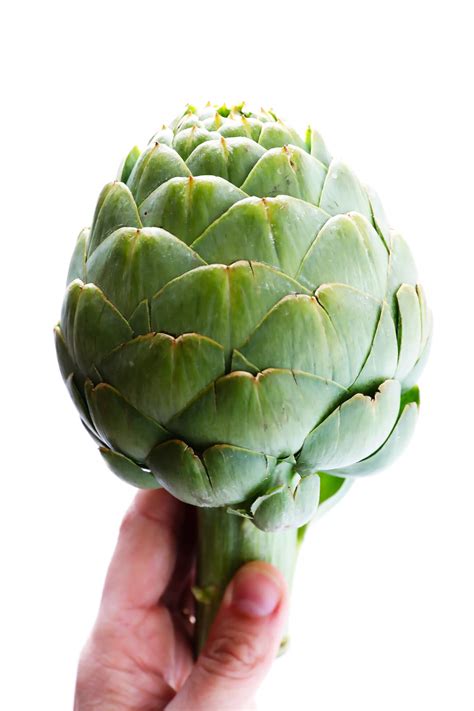 Treatments for an enlarged heart (a condition also known as cardiomegaly) depend on the underlying condition contributing to the disease. How To Cook and Eat an Artichoke | Gimme Some Oven