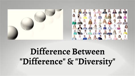 Difference Between Difference And Diversity Unraveling The
