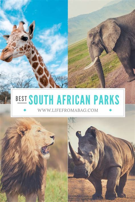 10 Best National Parks In South Africa To See Wildlife South Africa