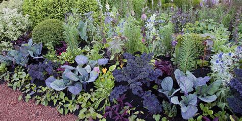 Companion Planting A Visual Guide To The Best Plant Combinations