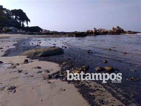 We did not find results for: Kepala Dinas Parwisata Kota Batam: Limbah Minyak Merugikan ...