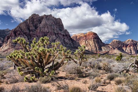 14 Jaw Dropping Places In Nevada