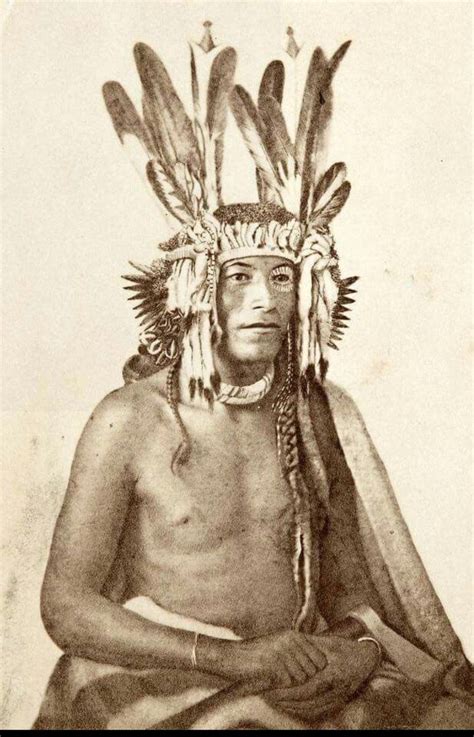 Chief Standing Buffalo Tatanka Najin Sisseton Santee Dakota Native American Beauty Native