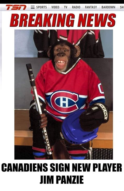 Find and save canadiens memes | national hockey league's most successful franchise. Montreal Canadiens Jokes Habs Memes - NHL Trade Rumors