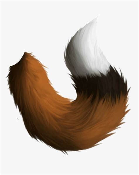 Fox Tail Png Images Fox Clipart Hand Painted Tail Png Transparent
