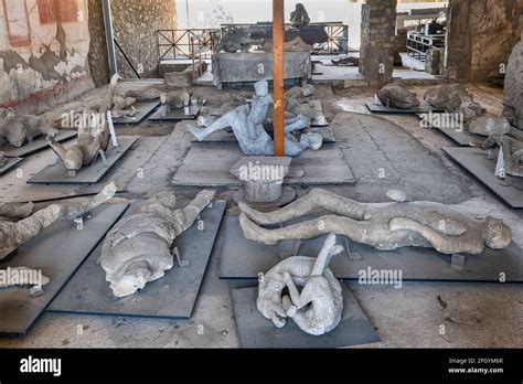 Human Bodies Plaster Cast Ancient Victims Of The Mount Vesuvius Volcano Eruption In Ad 79