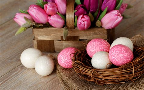 Easter Nest Eggs Pink White Tulip Flowers Basket Wallpaper