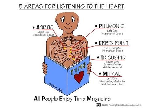 Health Assessment Week 3 Cardiac And Peripheral Vascular Flashcards